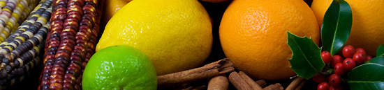 Web漏洞扫描工具